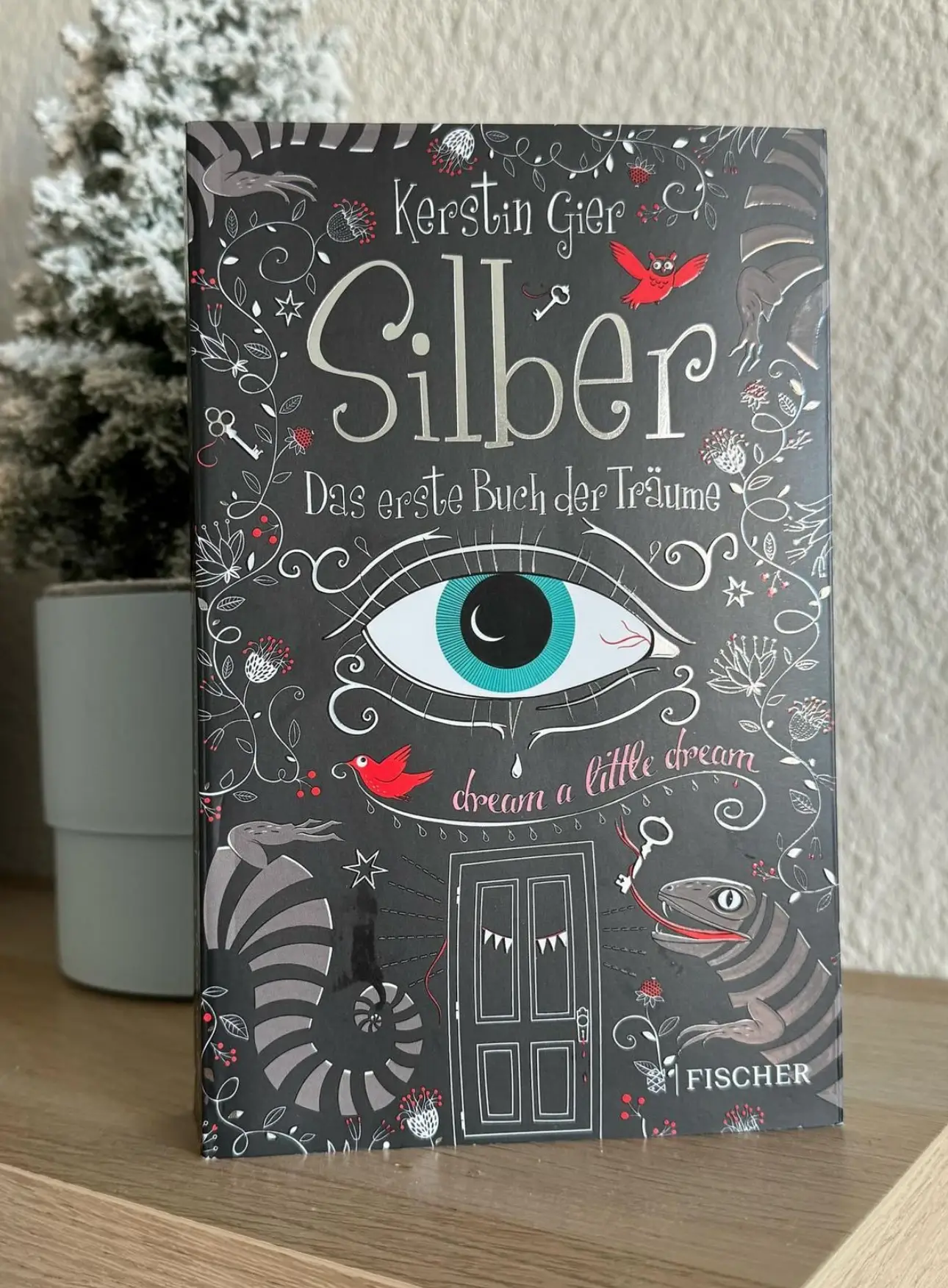 Das Buch Silber von Kerstin Gier. Auf dem silbergrauen Cover ist ein Auge umgeben von Schnörkeln.