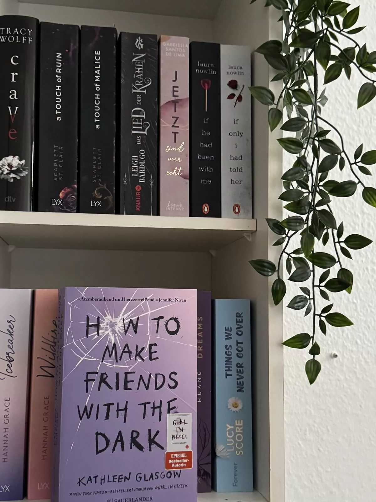 Das Buch steht mit dem lila Cover nach vorne zeigend im Bücherregal. Auf dem Cover steht in schwarz der Titel und man erkennt das Loch einer eingeschlagenen Fensterscheibe.