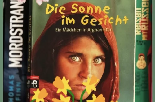 Auf dem Cover ist das Foto eines afghanischen Mädchens in einer Art Hijab zu sehen.